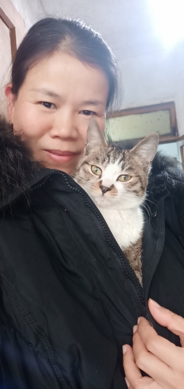 紫竹调的第一张照片--香港父母相亲团